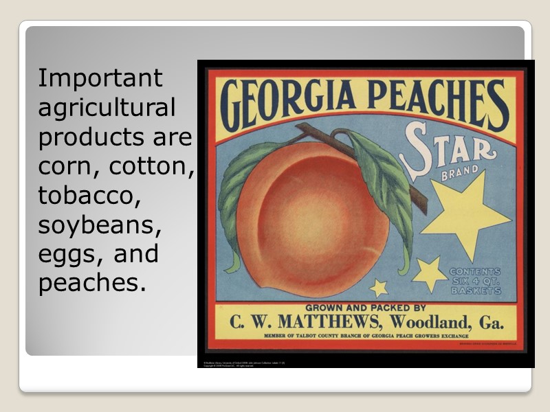 Important agricultural products are corn, cotton, tobacco, soybeans, eggs, and peaches.